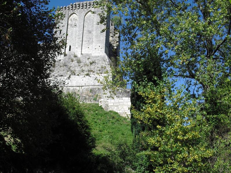 le château et son donjon (vers 2010)